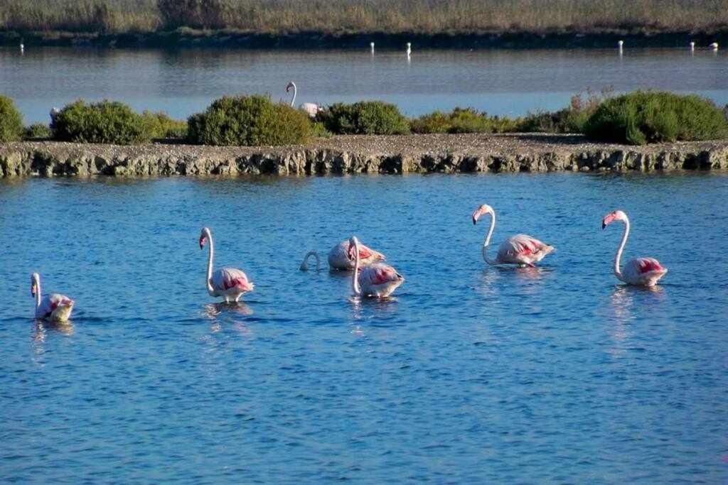 Bungalow Duplex Tibi 3 Apartman Santa Pola Kültér fotó